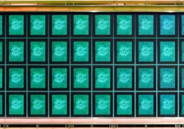 Wheel Of Fortune Puzzle Answer Tonight