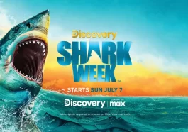 Valpak Shark Week Sweepstakes