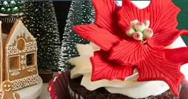 Food Network Jolly Holiday Giveaway