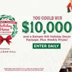 Hallmark Channel Holiday Home Decoration Sweepstakes