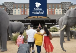 Kalahari Adventure Beyond Sweepstakes