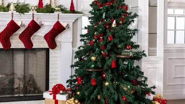 Purina PetCare FeastiviTREE Sweepstakes