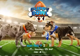 Valpak Puppy Bowl Sweepstakes