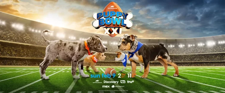 Valpak Puppy Bowl Sweepstakes