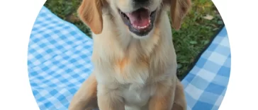 Progressive PAWfect Pup Name Sweepstakes