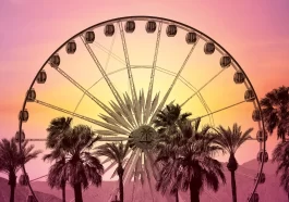 Absolut Vodka Coachella Sweepstakes