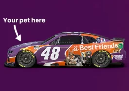 Ally Racing Paws And Pedals Sweepstakes