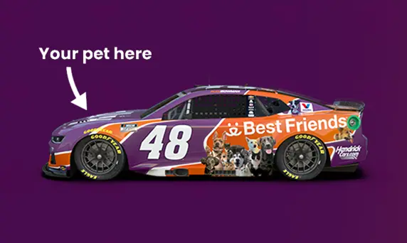 Ally Racing Paws And Pedals Sweepstakes