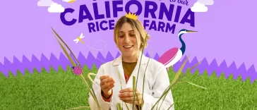 Lundberg Family Farms Rice Doctor For A Day Sweepstakes