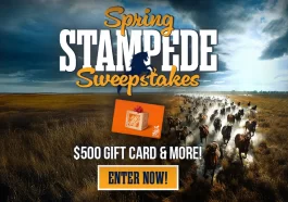 INSP Spring Stampede Sweepstakes