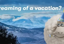 Serta Counting Sheep's 25th Birthday Sweepstakes