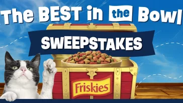 Friskies Best In The Bowl Sweepstakes