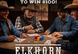 INSP Elkhorn Bingo Watch 2 Win Sweepstakes